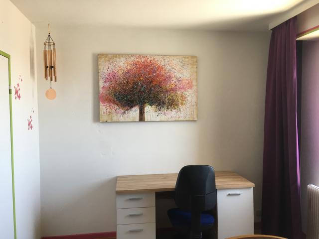 Location chambre Mulhouse - Photo 4