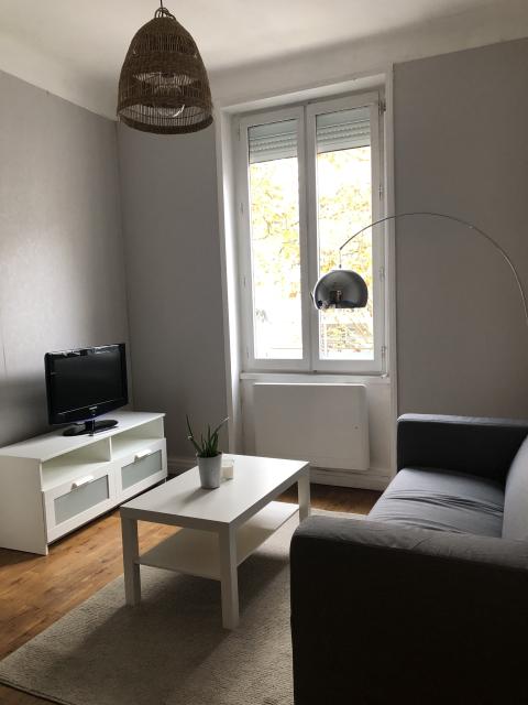 Location appartement T2 Lyon 8 - Photo 1
