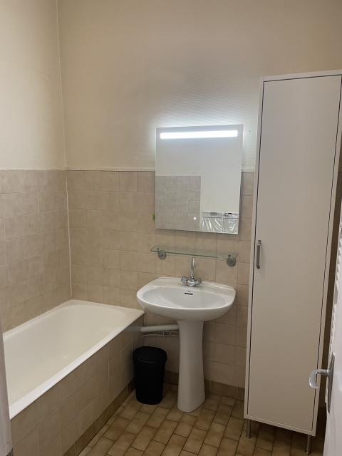 Location appartement T2 Lyon 8 - Photo 4