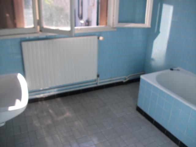 Location appartement T3 Vesoul - Photo 4