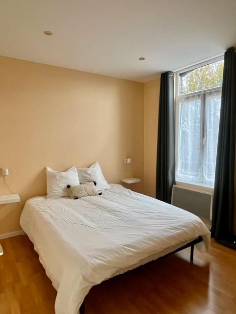 Location appartement T2 Roubaix - Photo 4