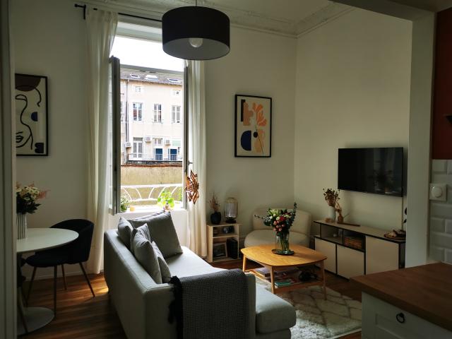 Location appartement T2 Nancy - Photo 2