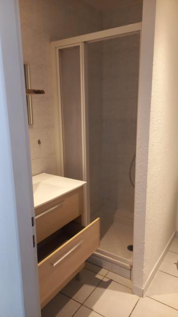Location appartement T2 Grenoble - Photo 8