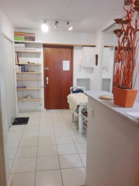 Location appartement T2 Nantes - Photo 2