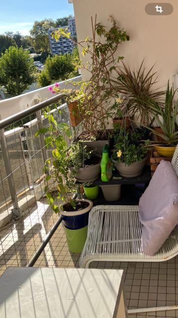 Location appartement T2 Anglet - Photo 6