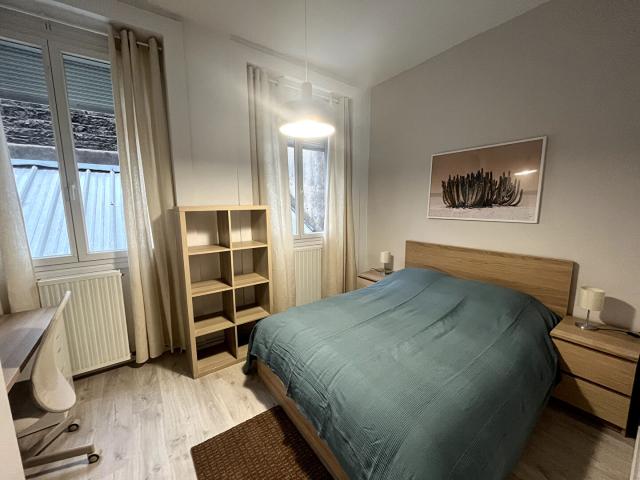 Location appartement T5 St Etienne - Photo 7