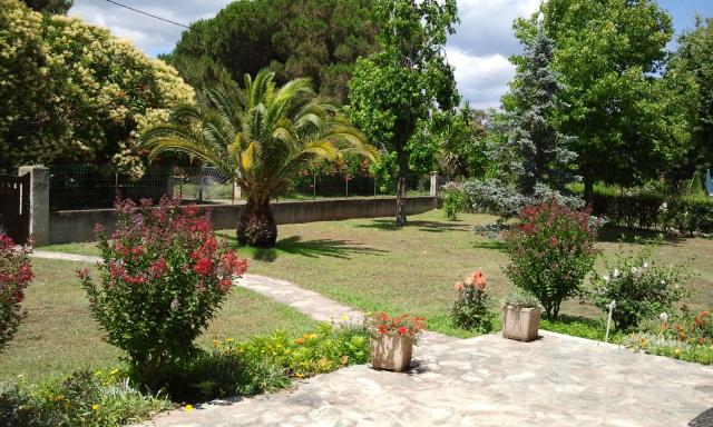 Location maison F4 Prunelli Di Fiumorbo - Photo 3