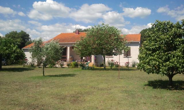 Location maison F4 Prunelli Di Fiumorbo - Photo 4