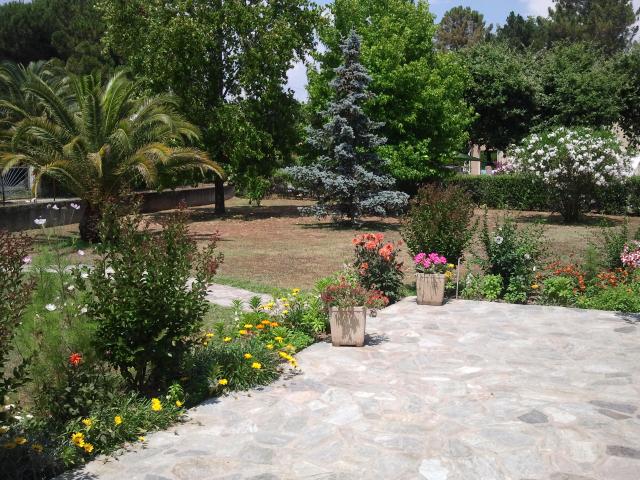Location maison F4 Prunelli Di Fiumorbo - Photo 6