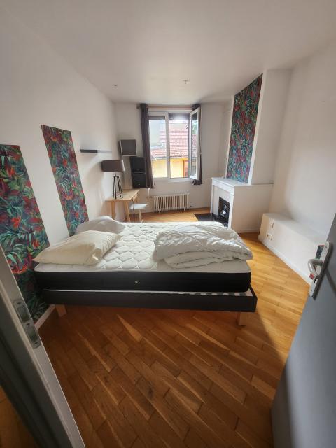 Location appartement T5 St Etienne - Photo 3