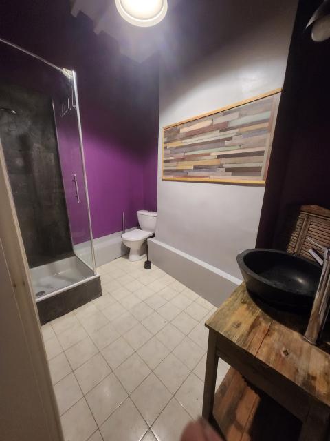 Location appartement T5 St Etienne - Photo 8