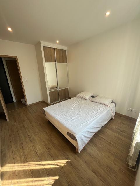 Location appartement T3 Angers - Photo 5