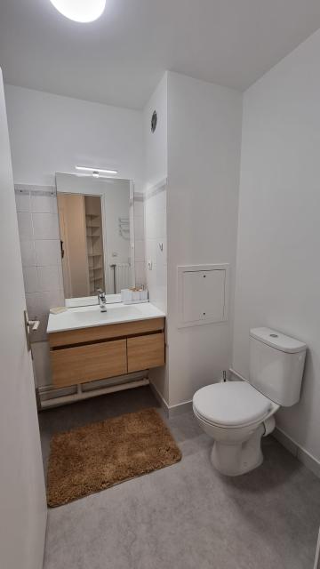 Location appartement T2 Lyon 7 - Photo 3
