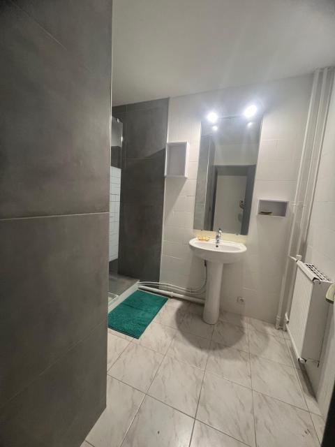Location appartement T5 Grenoble - Photo 2