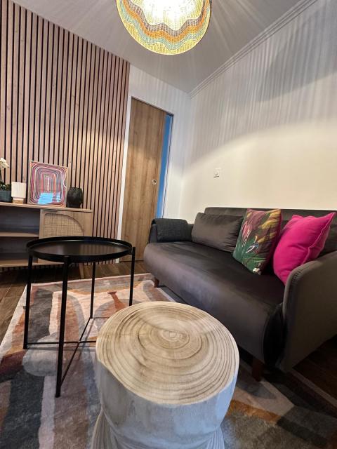 Location appartement T2 Paris 18 - Photo 6
