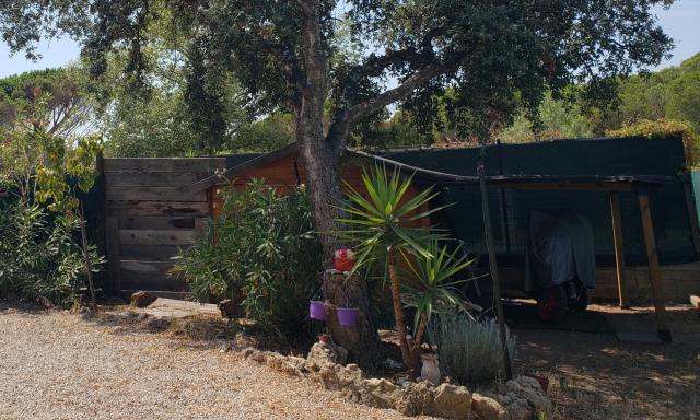 Location maison F4 Frejus - Photo 3