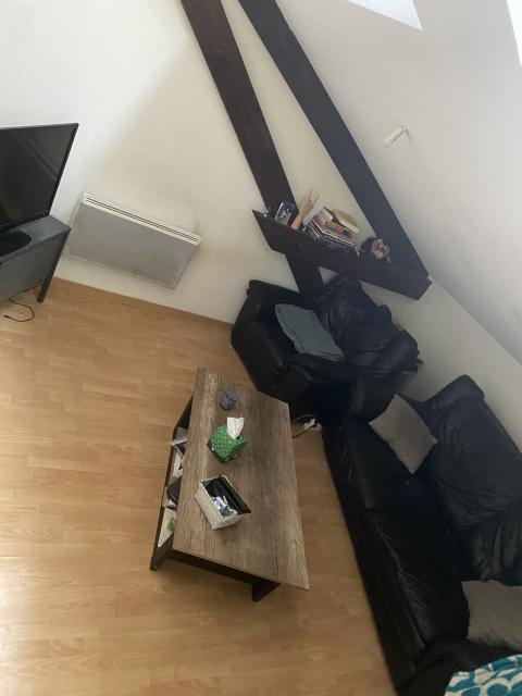 Location appartement T2 Nancy - Photo 3