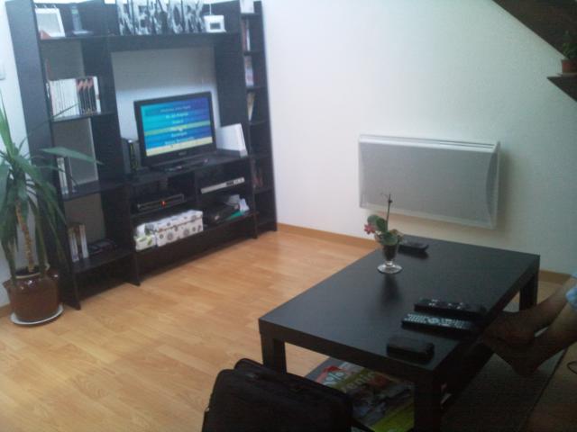 Location appartement T2 Nancy - Photo 4