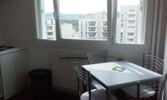 Location appartement T1 Villeurbanne - Photo 3