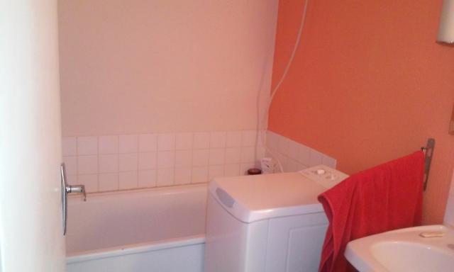 Location appartement T1 Villeurbanne - Photo 5