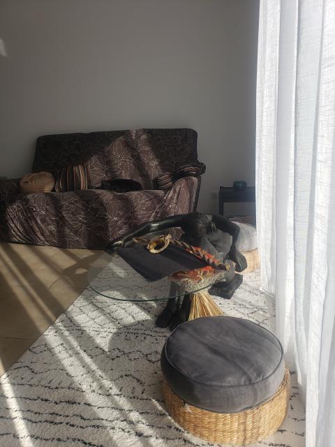 Location chambre Pailhes - Photo 3