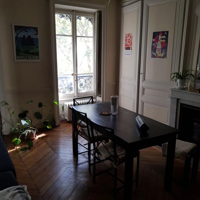 Location appartement T6 Lyon 3 - Photo 2