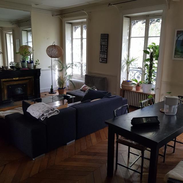 Location appartement T6 Lyon 3 - Photo 3