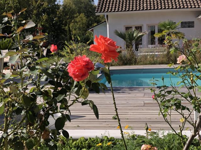 Location appartement T2 Pontonx sur l'Adour - Photo 6