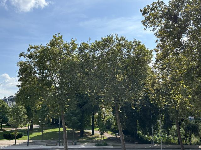 Location appartement T4 Amiens - Photo 9