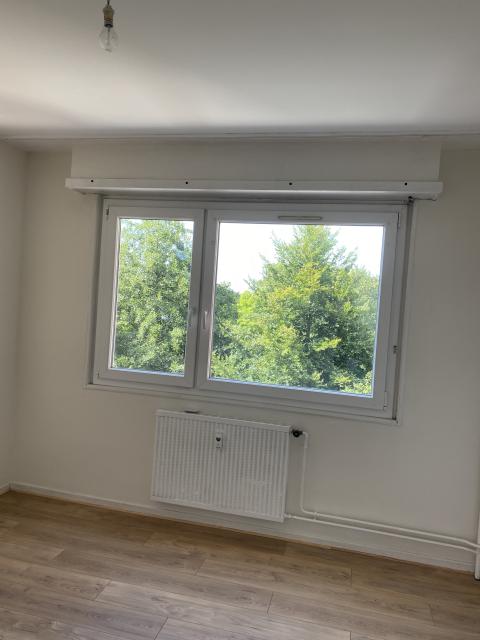 Location appartement T3 Strasbourg - Photo 4