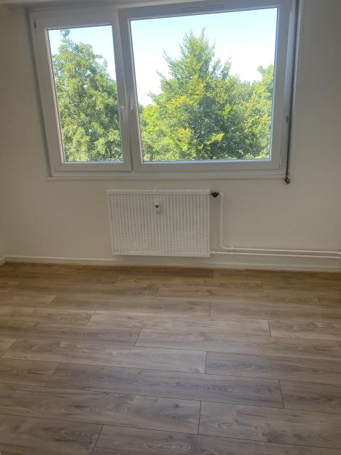 Location appartement T3 Strasbourg - Photo 5