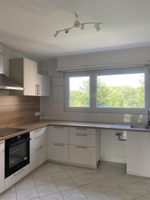 Location appartement T3 Strasbourg - Photo 7