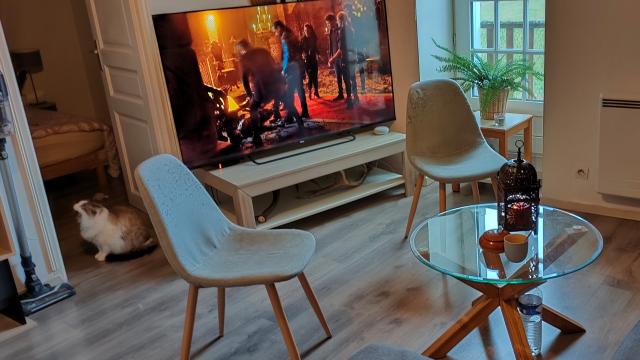Location appartement T2 Dhuizon - Photo 3