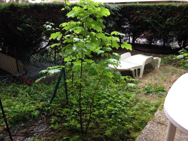 Location chambre Verrieres le Buisson - Photo 3