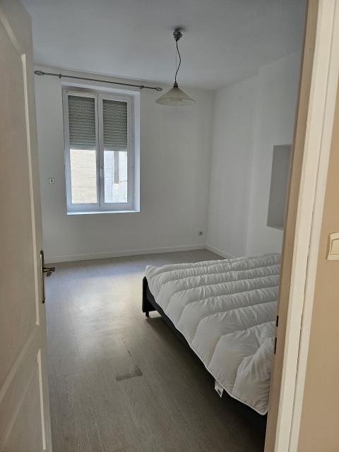 Location appartement T3 St Etienne - Photo 8