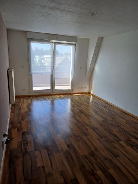 Location appartement T3 Haguenau - Photo 3