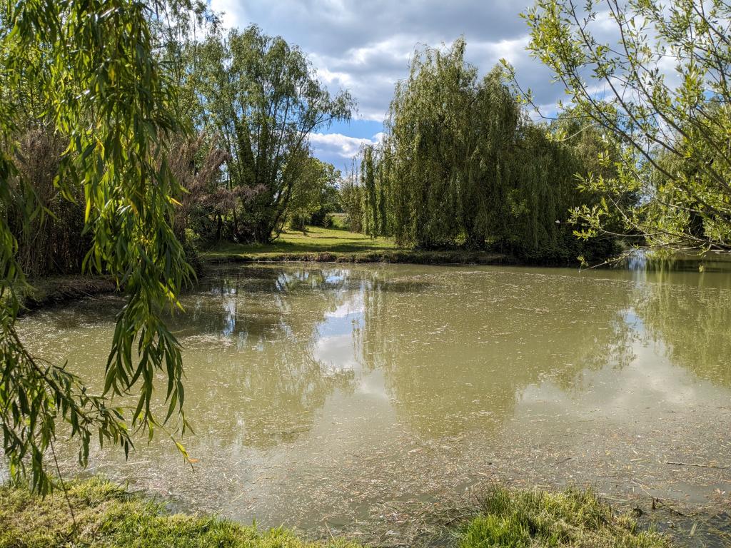Location chambre Thenac - Photo 2