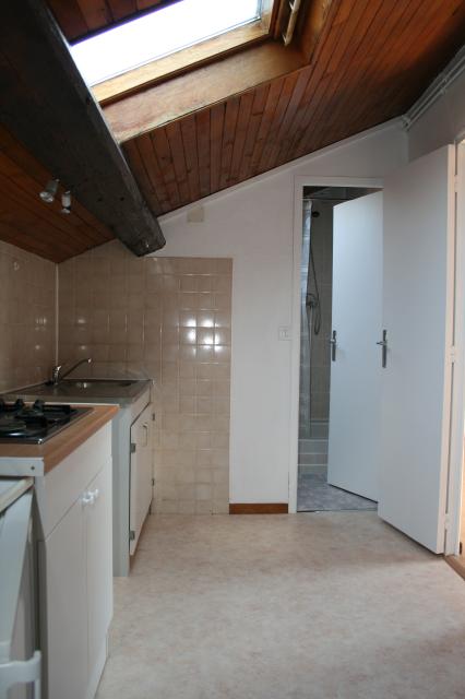 Location appartement T1 Nancy - Photo 3