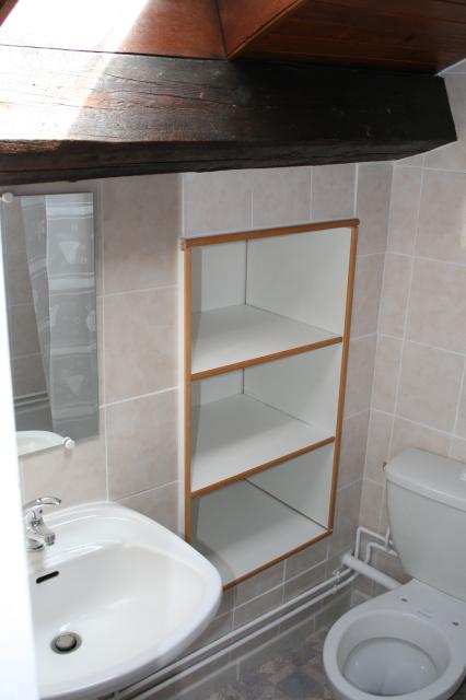 Location appartement T1 Nancy - Photo 5