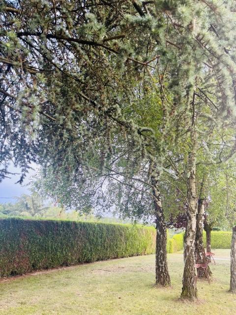 Location maison F6 Le Lude - Photo 3