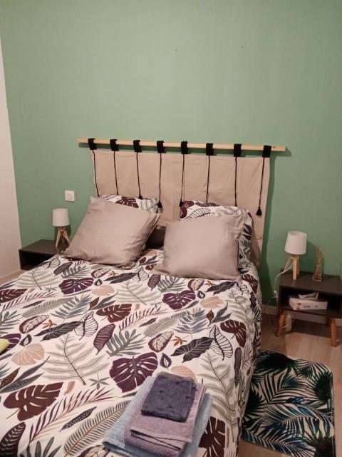 Location appartement T3 La Meilleraie Tillay - Photo 5