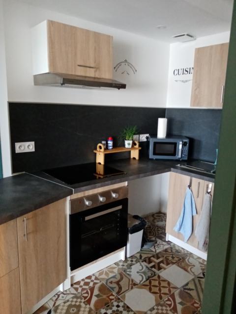 Location appartement T3 La Meilleraie Tillay - Photo 6