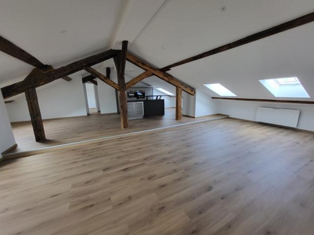 Location appartement T5 Nancy - Photo 3