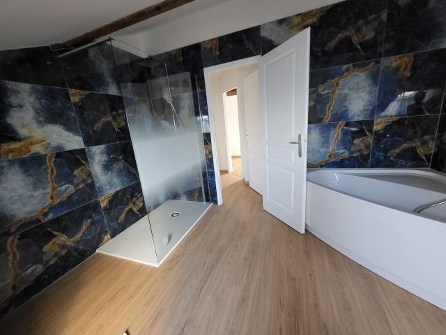 Location appartement T5 Nancy - Photo 4