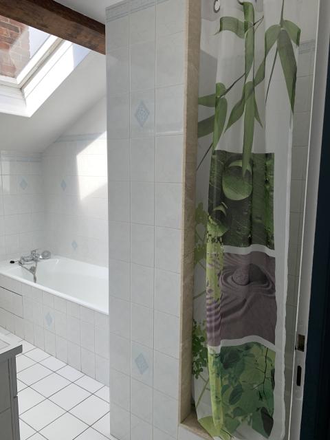 Location appartement T4 Nancy - Photo 9