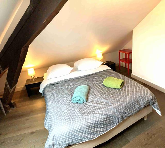 Location appartement T2 Chambery - Photo 2