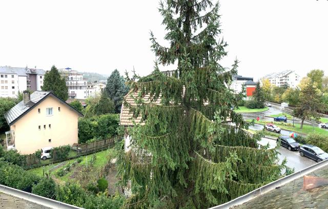 Location appartement T2 Chambery - Photo 10