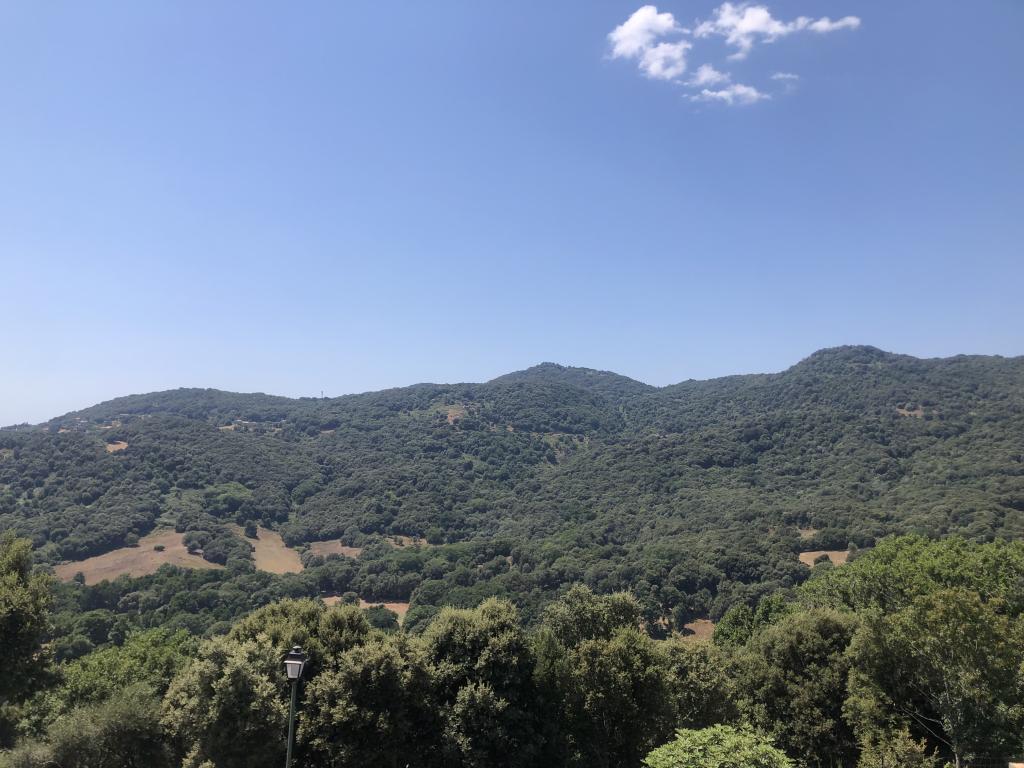 Location chambre Forciolo - Photo 3