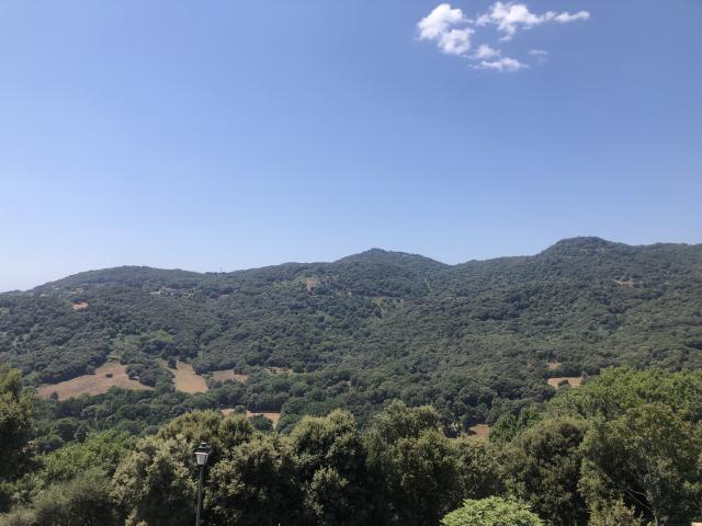 Location maison F4 Forciolo - Photo 3