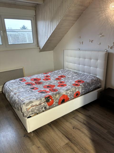 Location appartement T4 Mulhouse - Photo 5